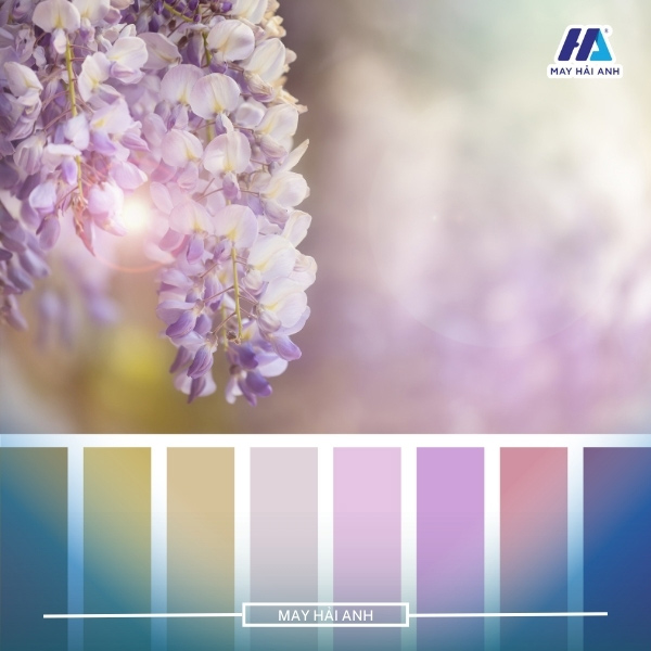 Each shade of purple has a different meaning.
