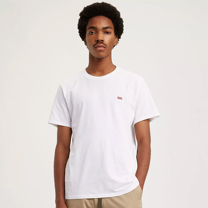 Genuine Levis men's shirt, dynamic and youthful