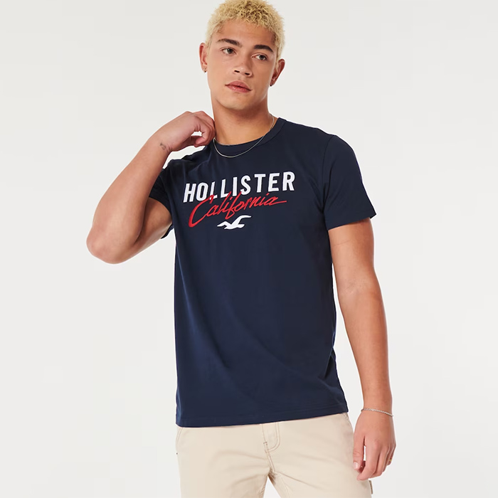 Hollister exported men's t-shirts have diverse designs.